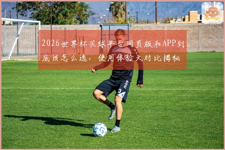 2026世界杯买球平台网页版和APP到底该怎么选,使用体验大对比揭秘