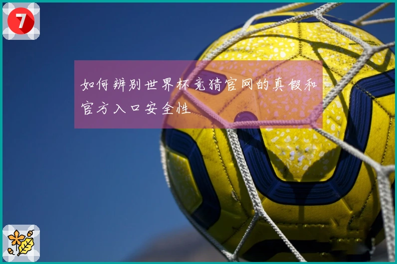 如何辨别世界杯竞猜官网的真假和官方入口安全性